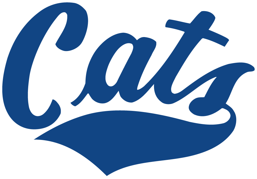 Montana State Bobcats 1982-1995 Wordmark Logo t shirts iron on transfers
